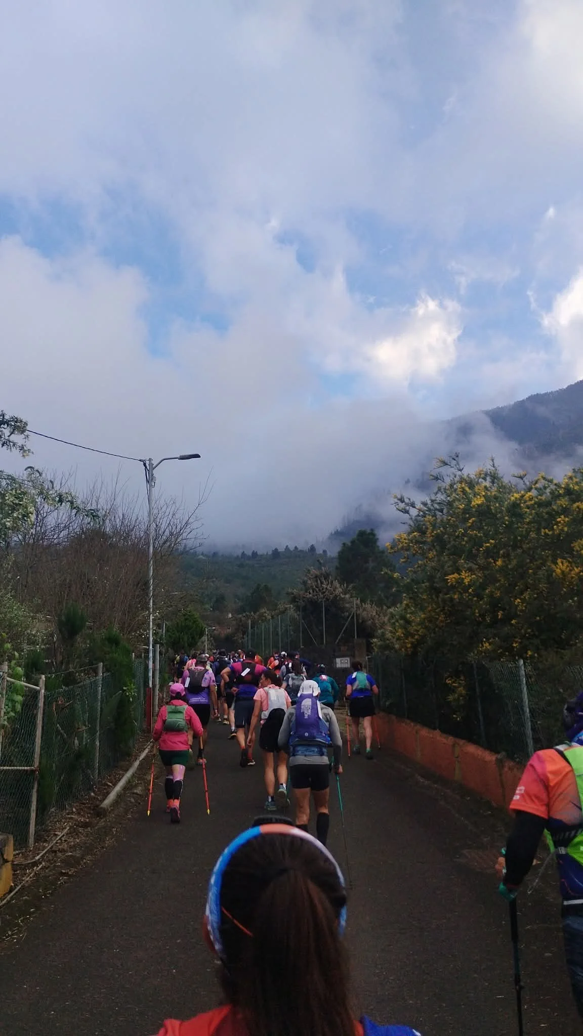 Fotografía 2 de BlueTrail Tenerife 2024