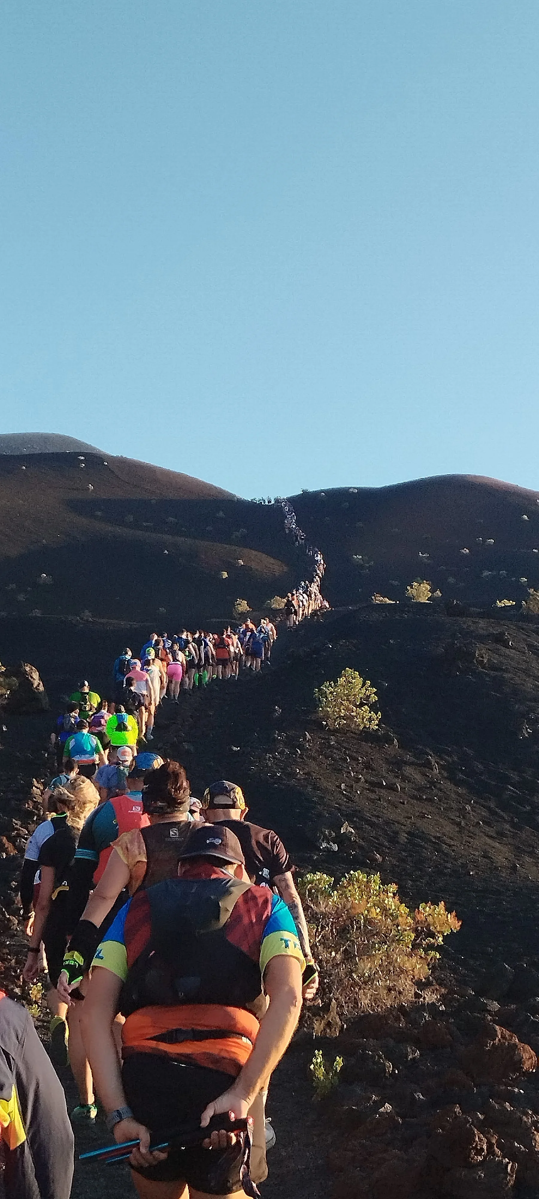 Fotografía 4 de Transvulcania 2024