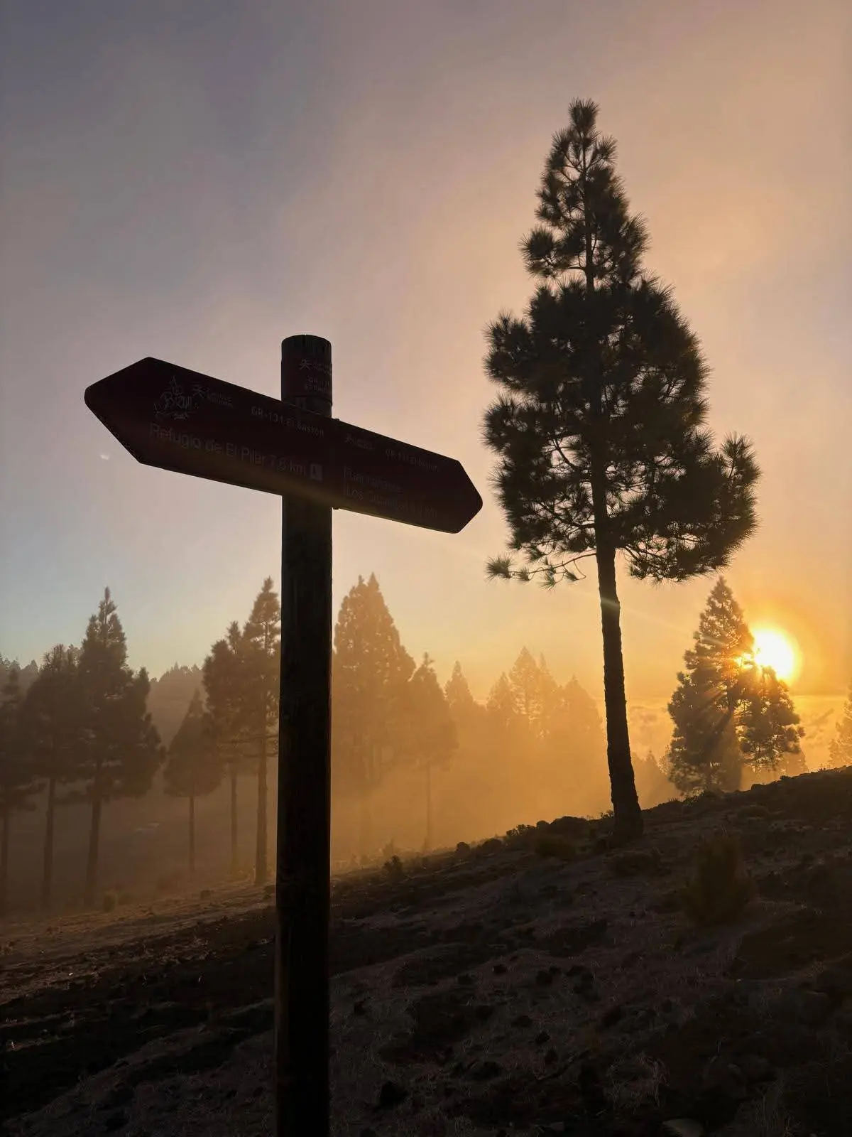 Fotografía 5 de Transvulcania 2026
