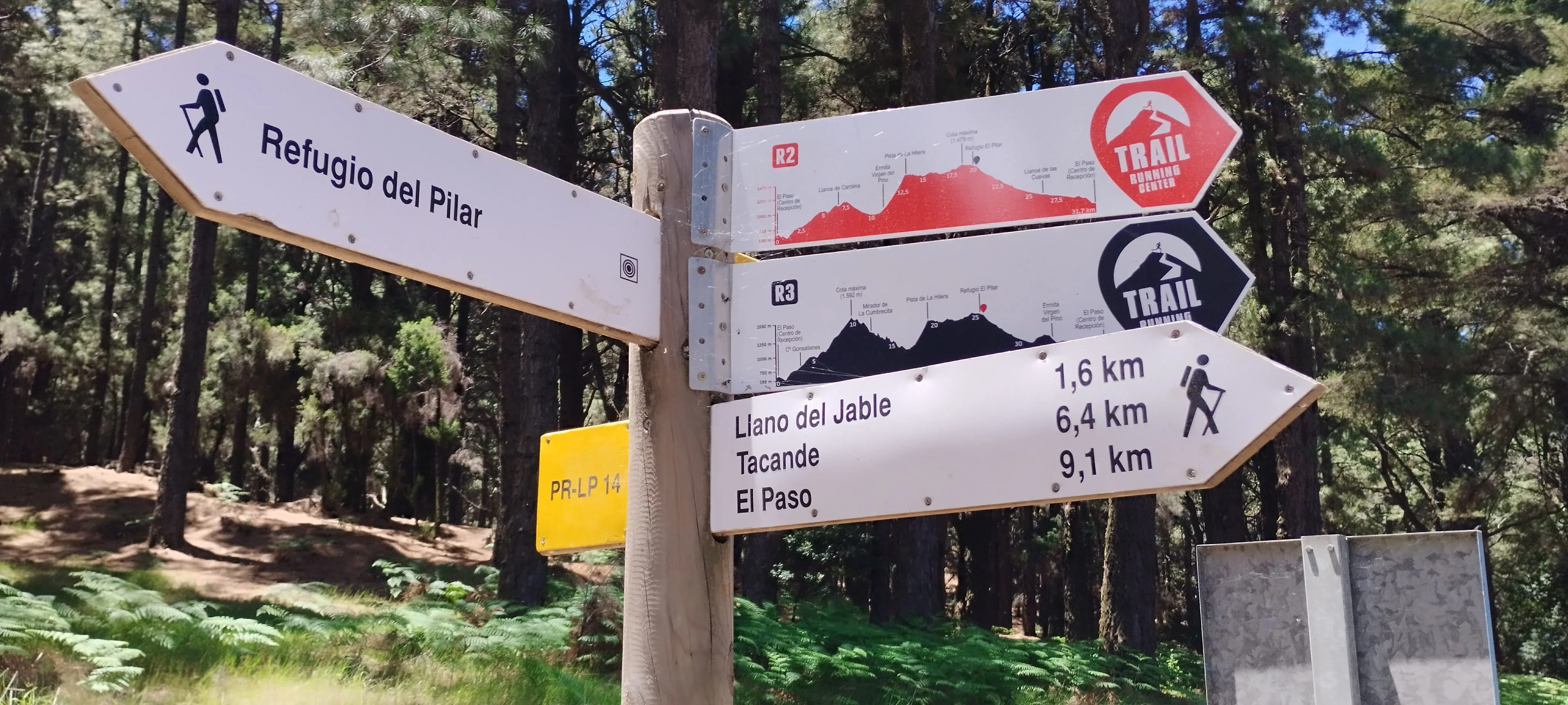 Primeras caminatas y conexión con la naturaleza